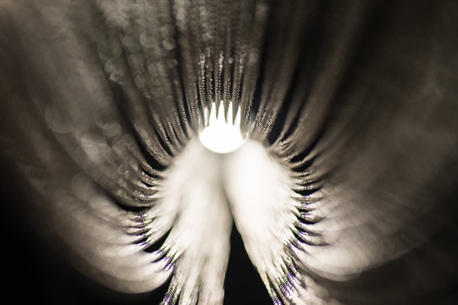 A detailed photo of the crystal sparkle of the Voile D luxury chandelier.
